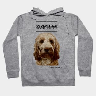 Cockapoo / Doodle Dog Sock Thief Hoodie